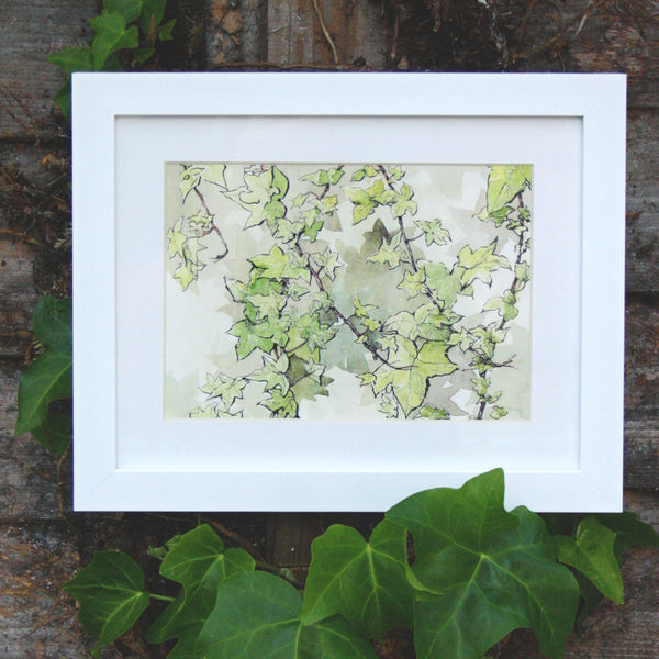 English Ivy Watercolour / Vine Plant / Home and Garden Decor / Plant Lover Gift - 300gsm Fine Art Print