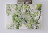English Ivy Watercolour / Vine Plant / Home and Garden Decor / Plant Lover Gift - 300gsm Fine Art Print