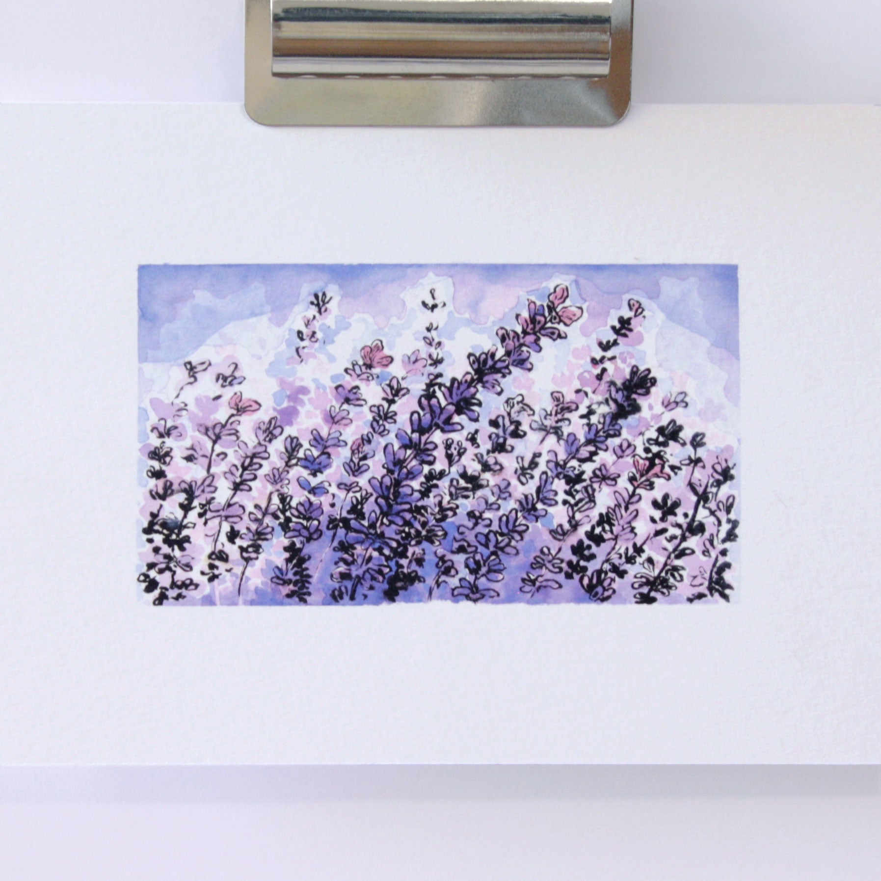 Lavender / Lavender Field Watercolour - 300gsm Fine Art Print – LV